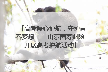 高考暖心护航，守护青春梦想——山东国寿财险开展高考护航活动