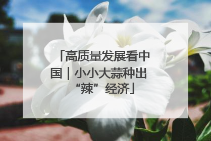高质量发展看中国｜小小大蒜种出“辣”经济