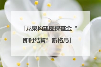 龙泉构建医保基金“即时结算”新格局
