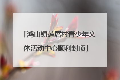 鸿山镇莲厝村青少年文体活动中心顺利封顶