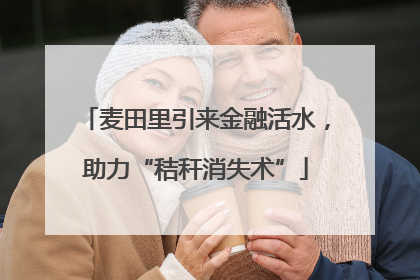 麦田里引来金融活水，助力“秸秆消失术”