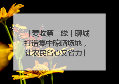 麦收第一线丨聊城打造集中晾晒场地，让农民省心又省力