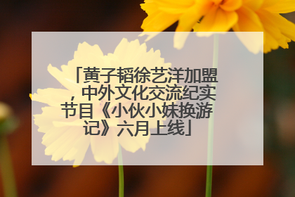 黄子韬徐艺洋加盟，中外文化交流纪实节目《小伙小妹换游记》六月上线