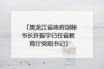 黑龙江省政府副秘书长许振宇已任省教育厅党组书记