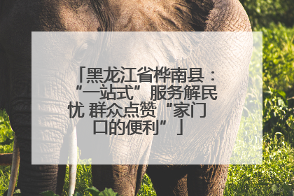黑龙江省桦南县：“一站式”服务解民忧 群众点赞“家门口的便利”