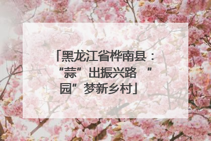 黑龙江省桦南县：“蒜”出振兴路 “园”梦新乡村