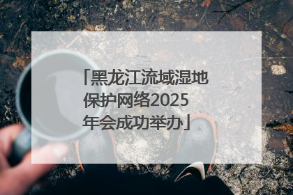 黑龙江流域湿地保护网络2025年会成功举办
