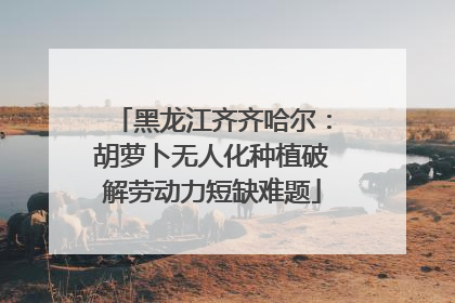 黑龙江齐齐哈尔：胡萝卜无人化种植破解劳动力短缺难题