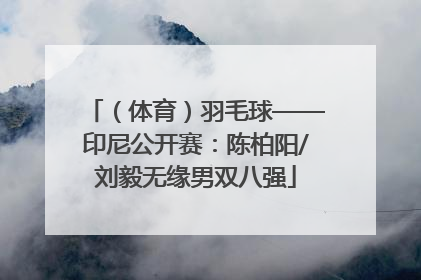 （体育）羽毛球——印尼公开赛：陈柏阳/刘毅无缘男双八强