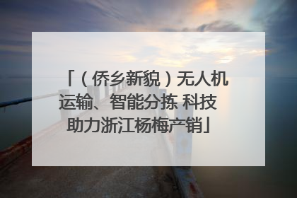 （侨乡新貌）无人机运输、智能分拣 科技助力浙江杨梅产销