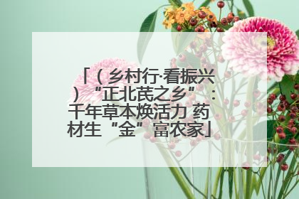 （乡村行·看振兴）“正北芪之乡”：千年草本焕活力 药材生“金”富农家