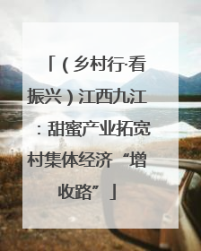 （乡村行·看振兴）江西九江：甜蜜产业拓宽村集体经济“增收路”