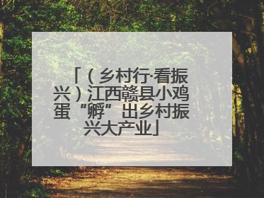 （乡村行·看振兴）江西赣县小鸡蛋“孵”出乡村振兴大产业