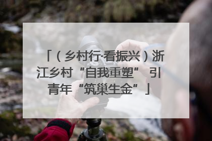 （乡村行·看振兴）浙江乡村“自我重塑” 引青年“筑巢生金”