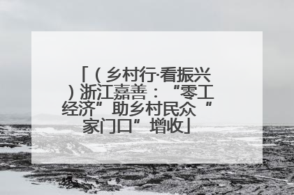 （乡村行·看振兴）浙江嘉善：“零工经济”助乡村民众“家门口”增收