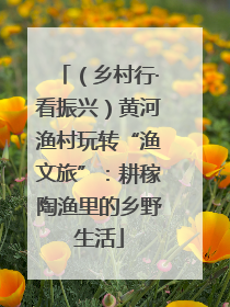 （乡村行·看振兴）黄河渔村玩转“渔文旅”：耕稼陶渔里的乡野生活