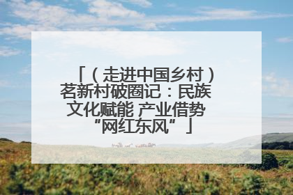 （走进中国乡村）茗新村破圈记：民族文化赋能 产业借势 “网红东风”