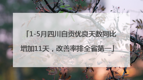 1-5月四川自贡优良天数同比增加11天，改善率排全省第一