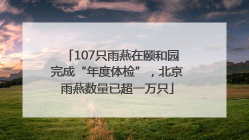 107只雨燕在颐和园完成“年度体检”，北京雨燕数量已超一万只