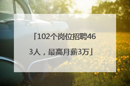 102个岗位招聘463人，最高月薪3万