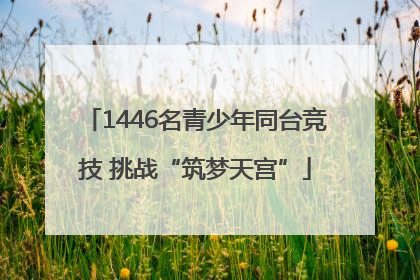 1446名青少年同台竞技 挑战“筑梦天宫”