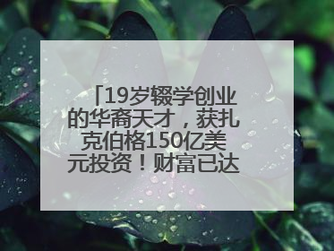 19岁辍学创业的华裔天才，获扎克伯格150亿美元投资！财富已达20亿美元！
