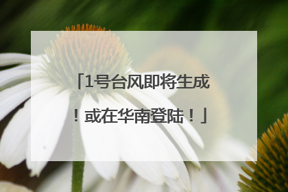 1号台风即将生成！或在华南登陆！