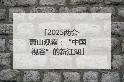 2025两会·萧山观察：“中国视谷”的新江湖