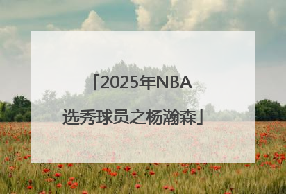 2025年NBA选秀球员之杨瀚森