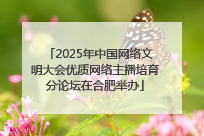 2025年中国网络文明大会优质网络主播培育分论坛在合肥举办