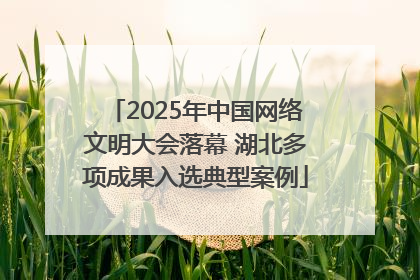 2025年中国网络文明大会落幕 湖北多项成果入选典型案例