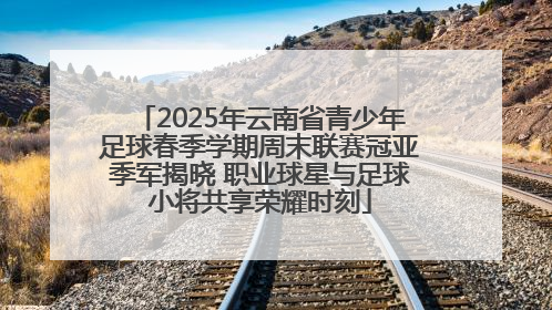 2025年云南省青少年足球春季学期周末联赛冠亚季军揭晓 职业球星与足球小将共享荣耀时刻