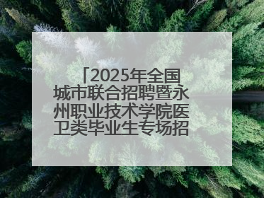 2025年全国城市联合招聘暨永州职业技术学院医卫类毕业生专场招聘会成功举办