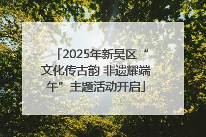 2025年新吴区“文化传古韵 非遗耀端午”主题活动开启