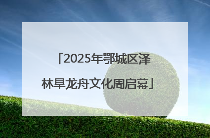 2025年鄂城区泽林旱龙舟文化周启幕