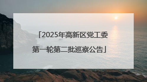 2025年高新区党工委第一轮第二批巡察公告