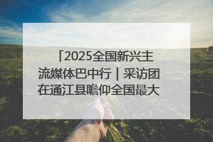 2025全国新兴主流媒体巴中行｜采访团在通江县瞻仰全国最大红军烈士陵园