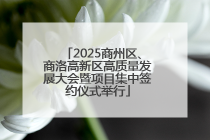 2025商州区、商洛高新区高质量发展大会暨项目集中签约仪式举行