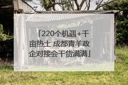 220个机遇+千亩热土 成都青羊政企对接会干货满满