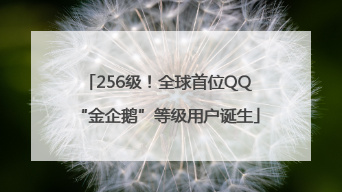 256级！全球首位QQ“金企鹅”等级用户诞生