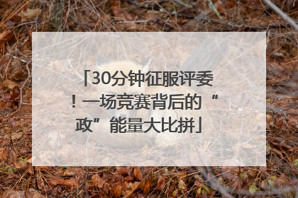 30分钟征服评委！一场竞赛背后的“政”能量大比拼