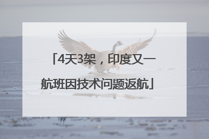 4天3架，印度又一航班因技术问题返航