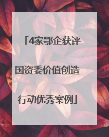 4家鄂企获评国资委价值创造行动优秀案例