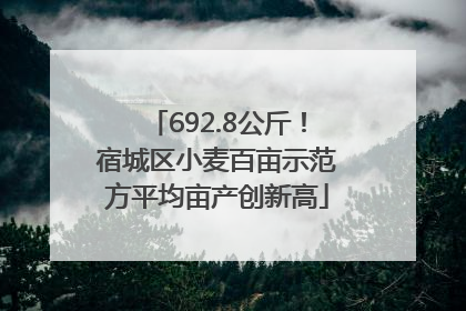 692.8公斤！宿城区小麦百亩示范方平均亩产创新高