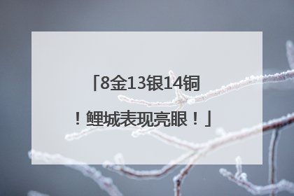 8金13银14铜！鲤城表现亮眼！